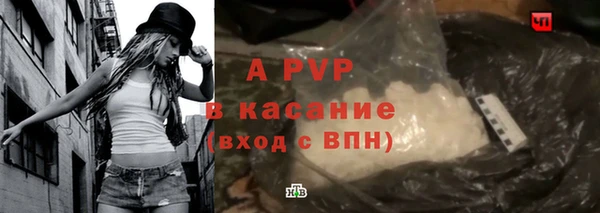 экстази Бородино