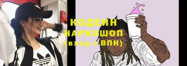 экстази Бородино