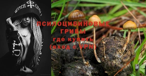 сатива Бугульма